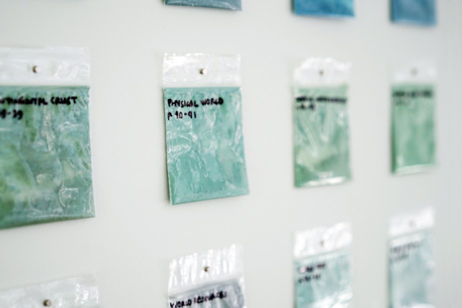 identified plastic sachets of green pigments