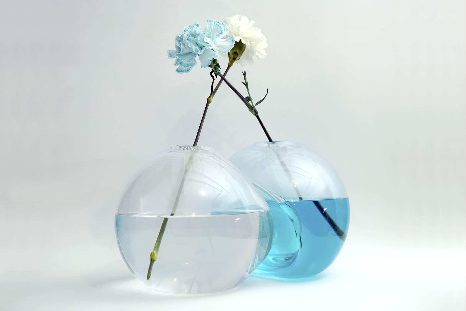two blown glass vases with flowers propped up in a blue solution