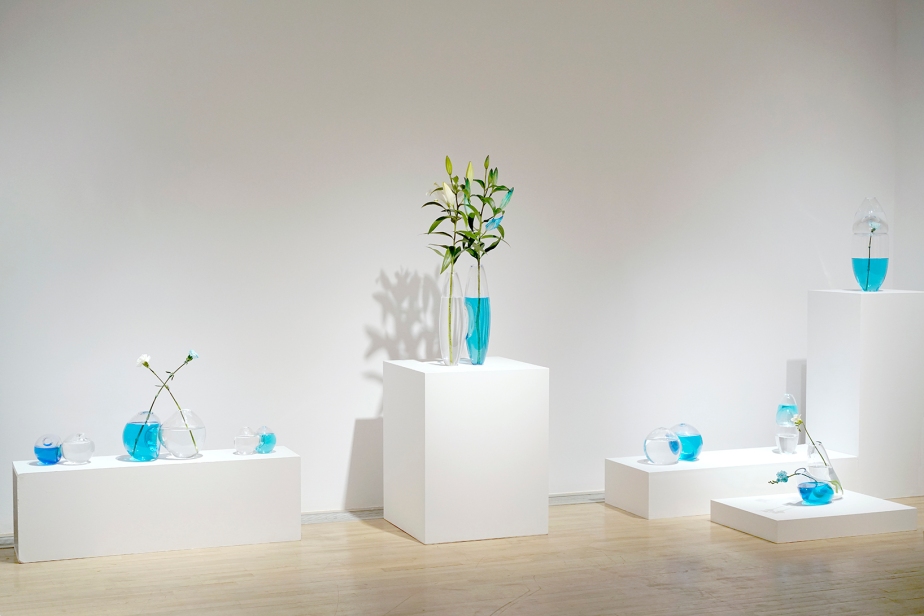 blown glass vases on plinths in an exhibition space