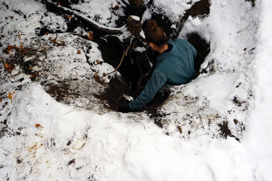 woman unearthing a stump in a garden