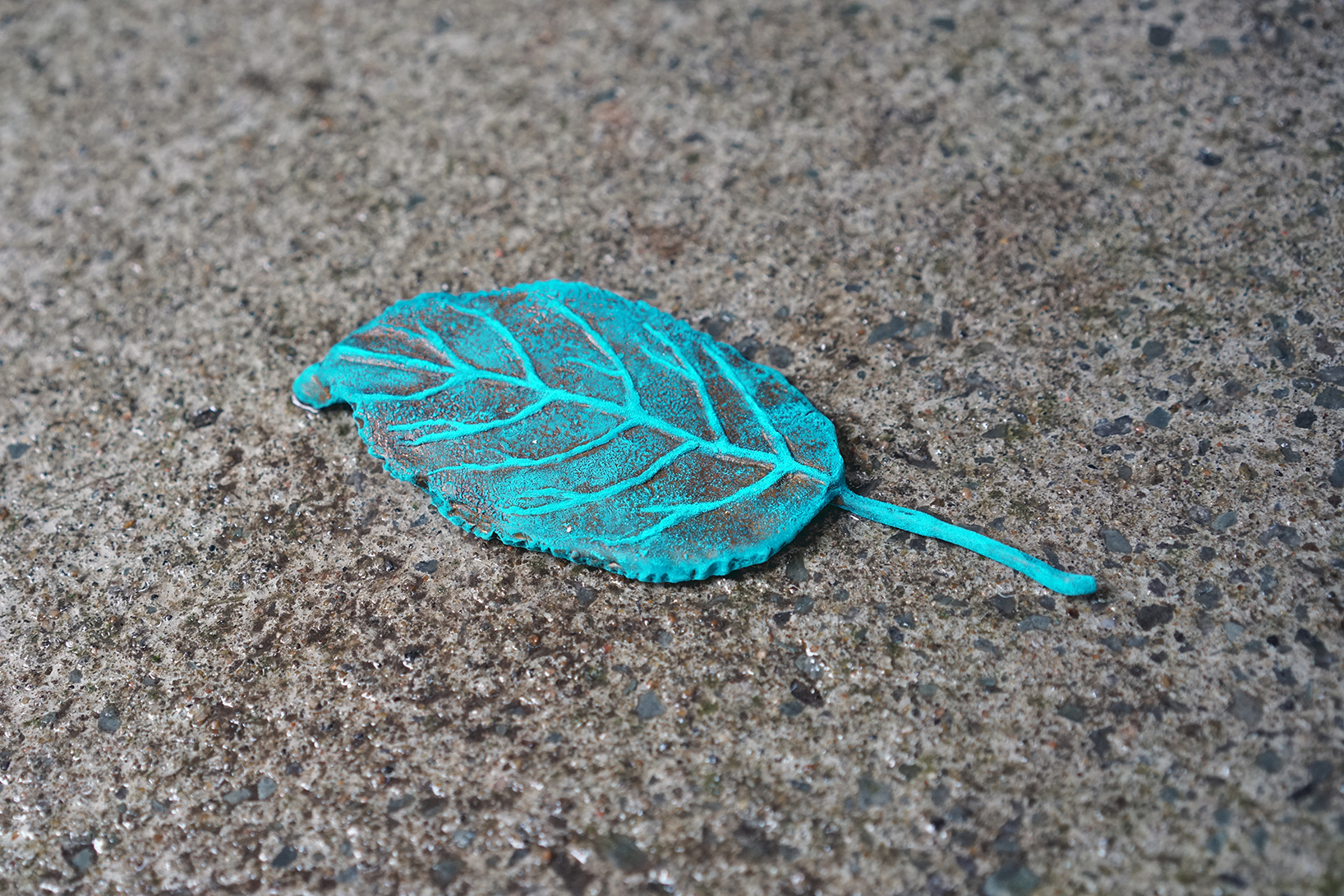 oxidized bronze casting of a leaf