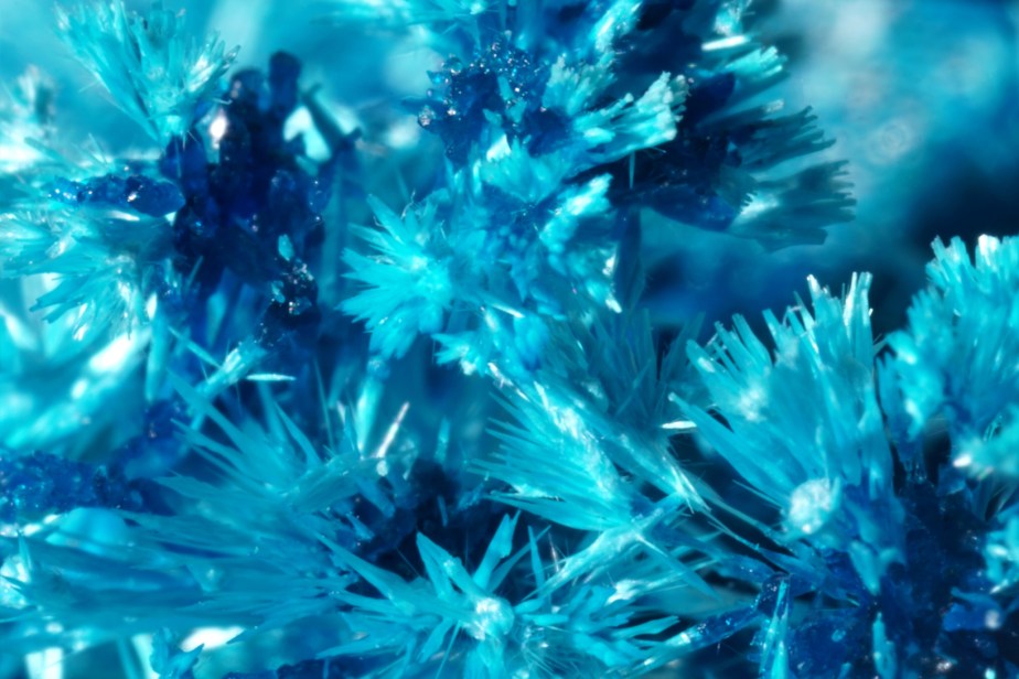 verdigris crystals seen through a microscope lens