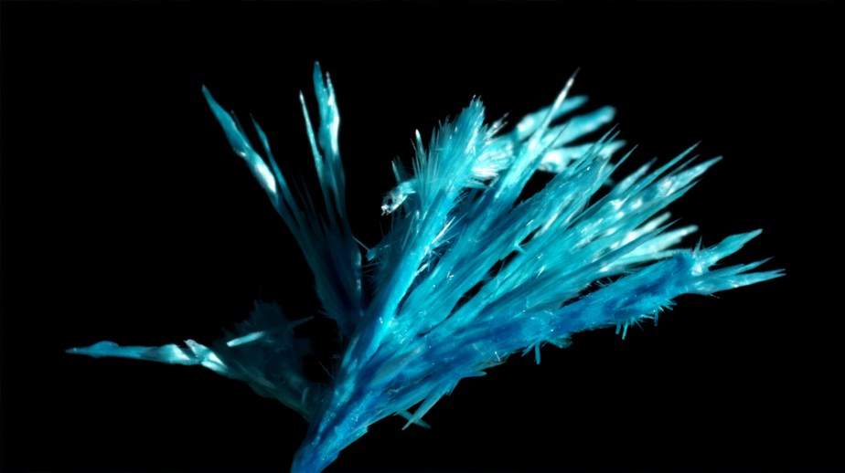 verdigris crystals seen through a microscope lens