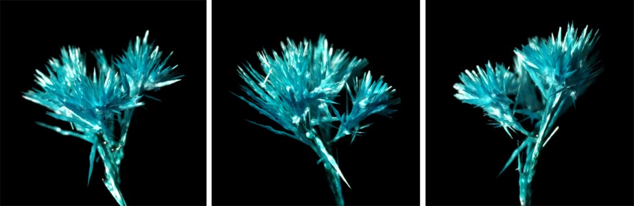 verdigris crystals seen through a microscope lens