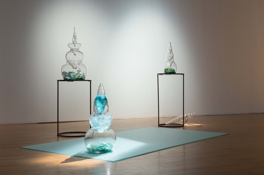 installation view of blown glass sculptures on metal plinths