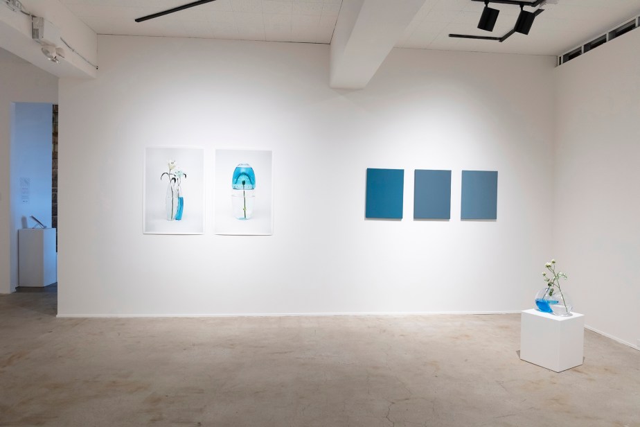 installation view of an exhibition with photographs, paintings and blown glass sculptures