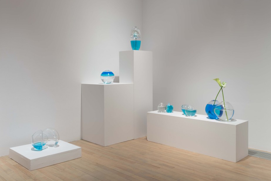 blown glass sculptures with flowers and blue pigment on plinths