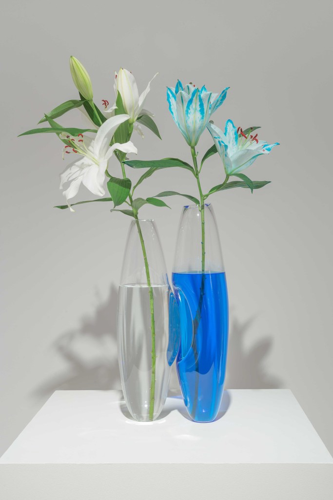 blown glass sculptures with flowers and blue pigment