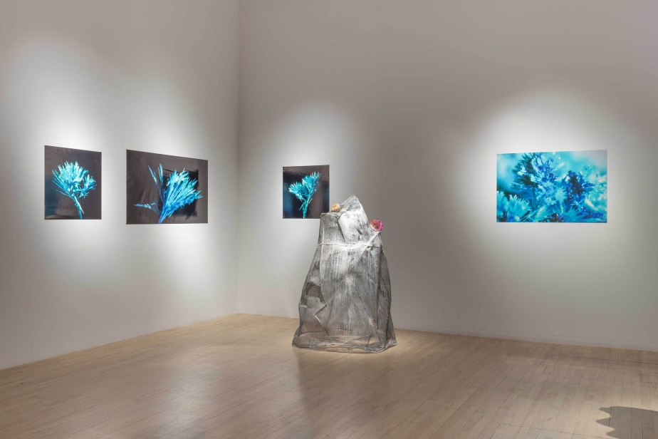 exhibition view of photographs on a wall